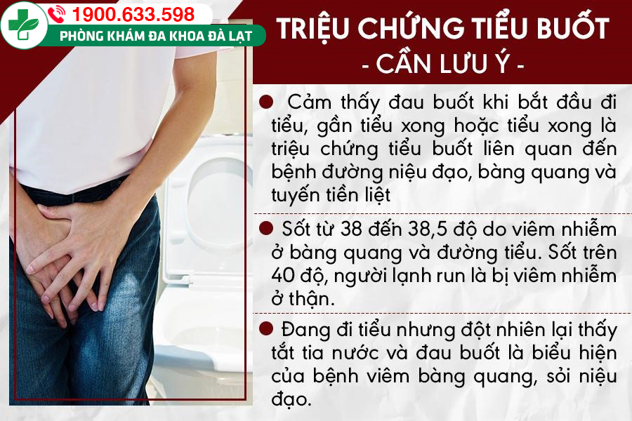 Hình ảnh minh họa